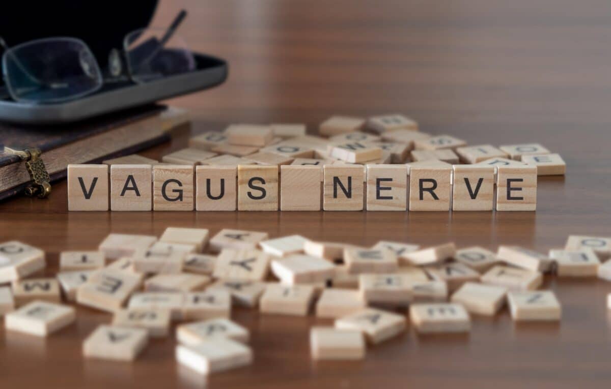 vagus nerve word or concept represented by wooden letter tiles on a wooden table with glasses and a book