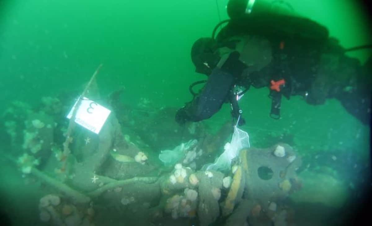 wwboatsdiving