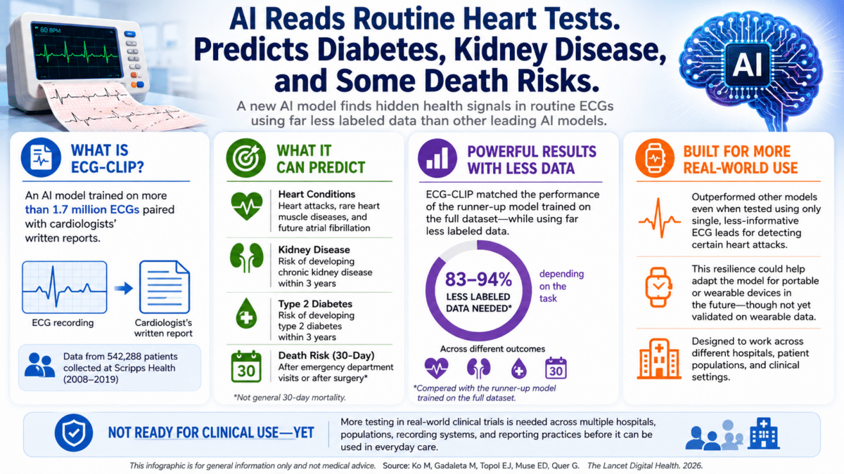 Infographic showing how ECG-CLIP uses routine ECGs to predict heart conditions, kidney disease, type 2 diabetes, and certain short-term death risks.