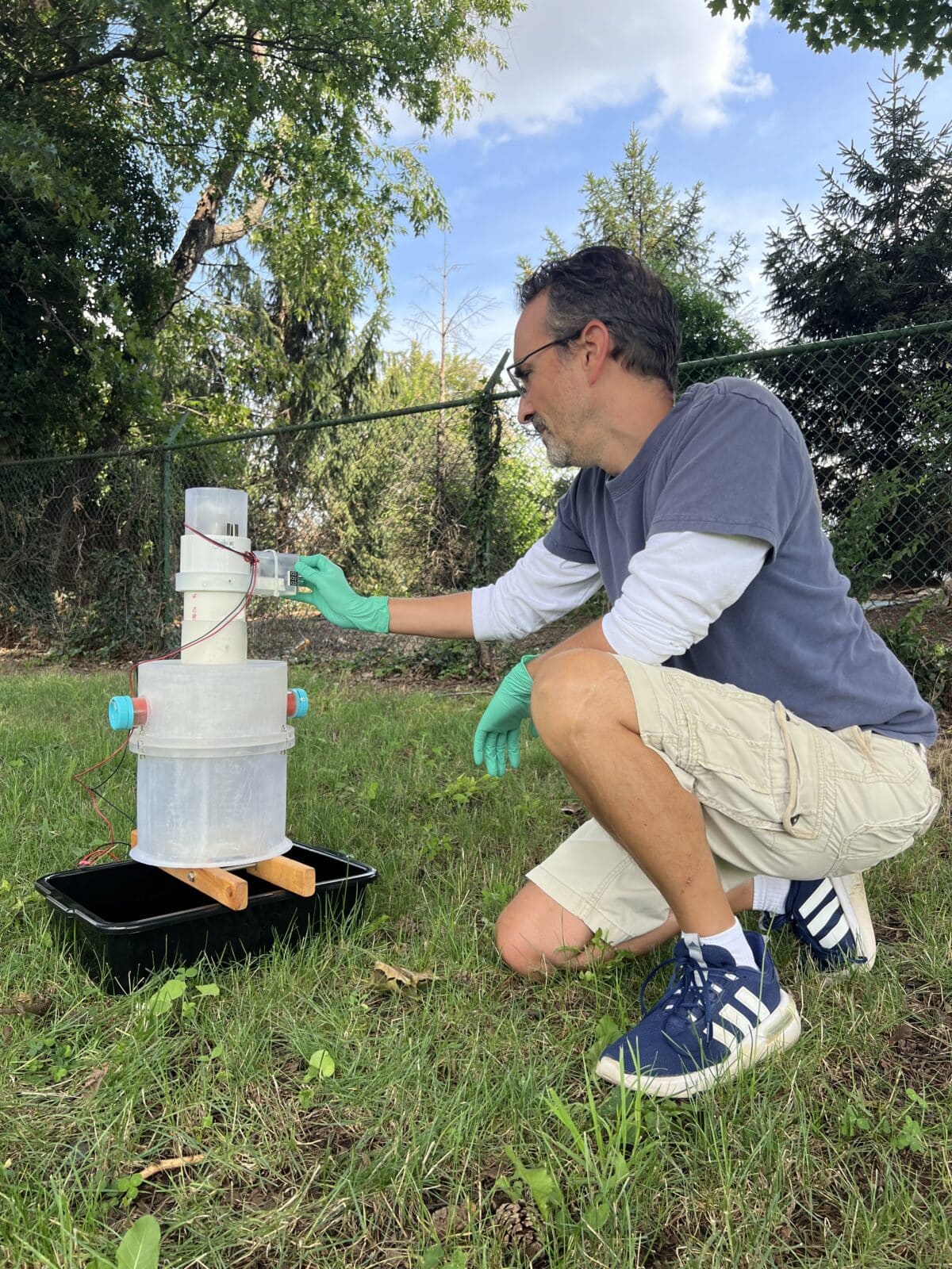 mosquito toilet
