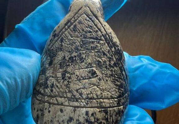 Ice Age craftspeople carefully observed and mimicked the natural lines of mammoth ivory in the art.