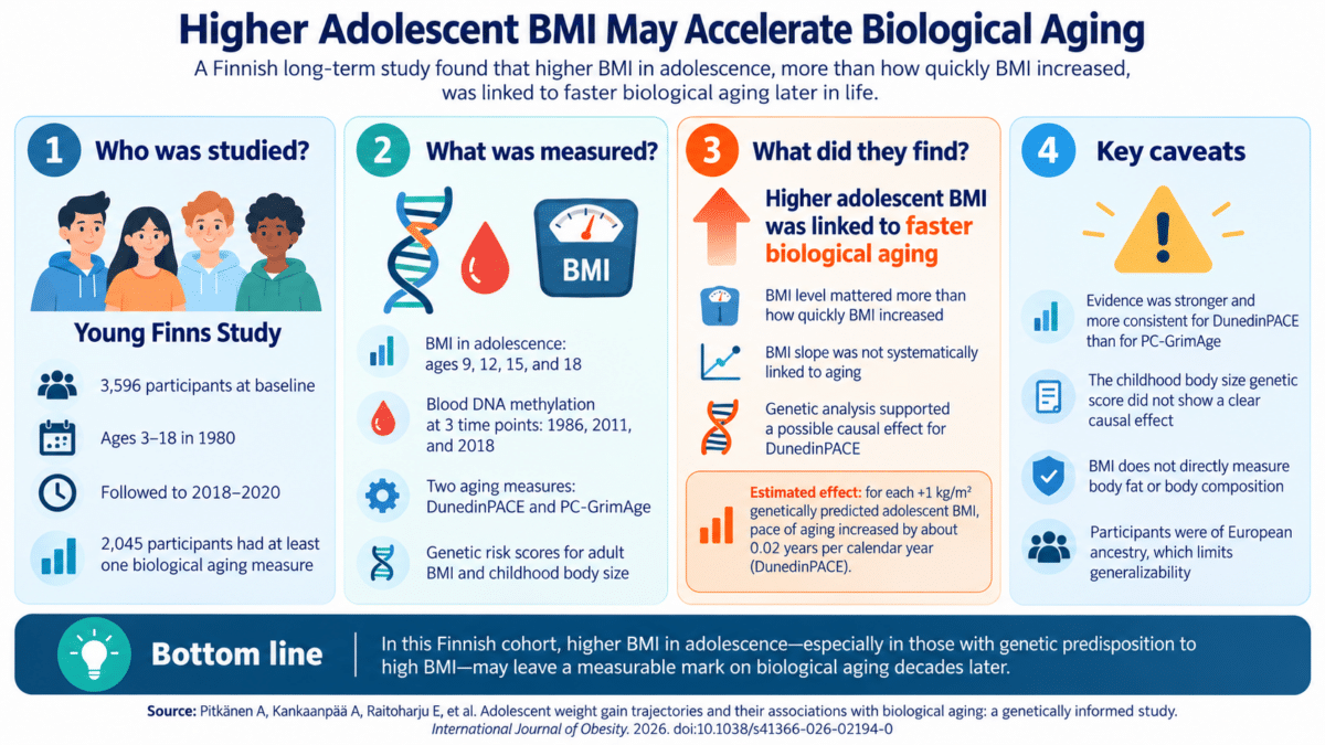 aging bmi infographic