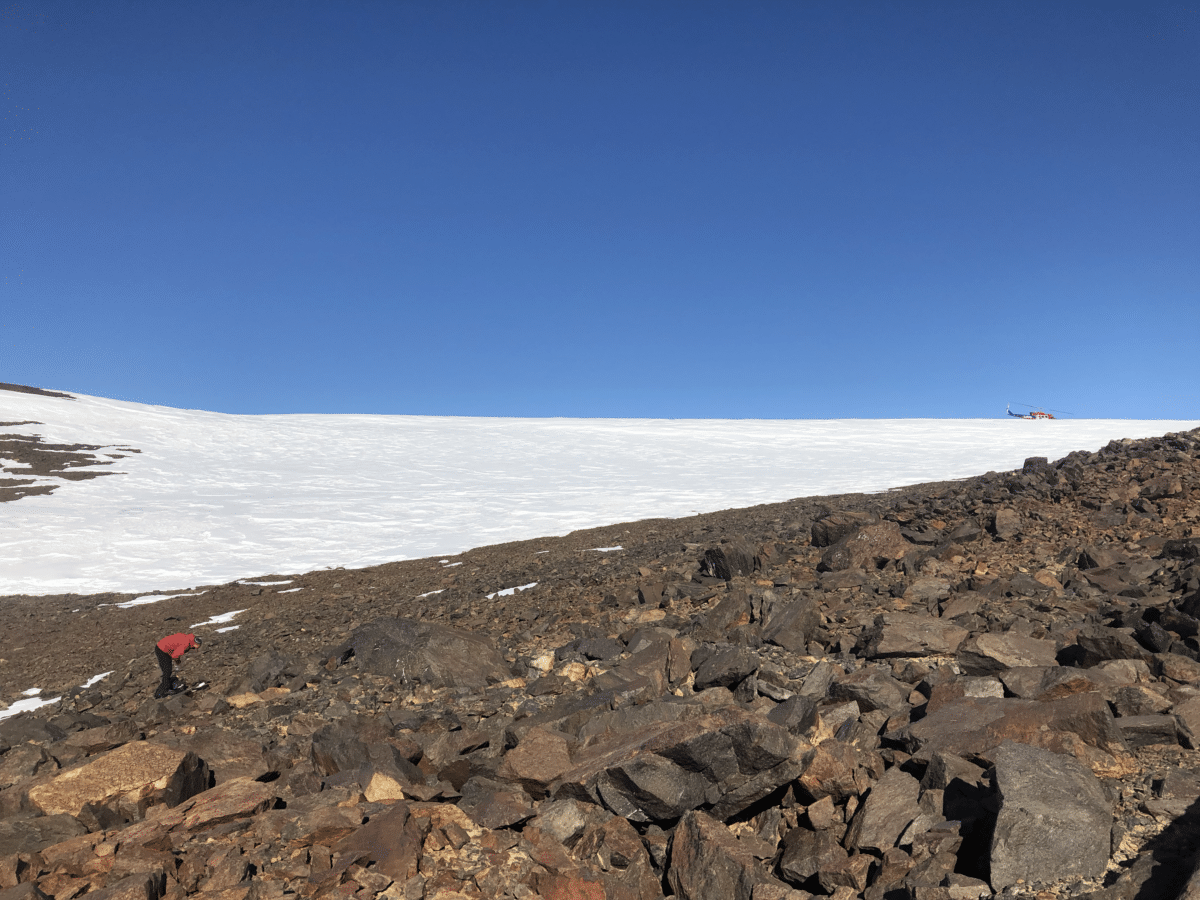 antarctica