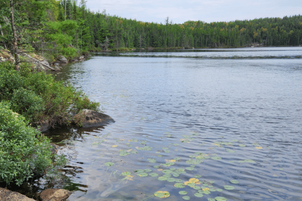 fish lake
