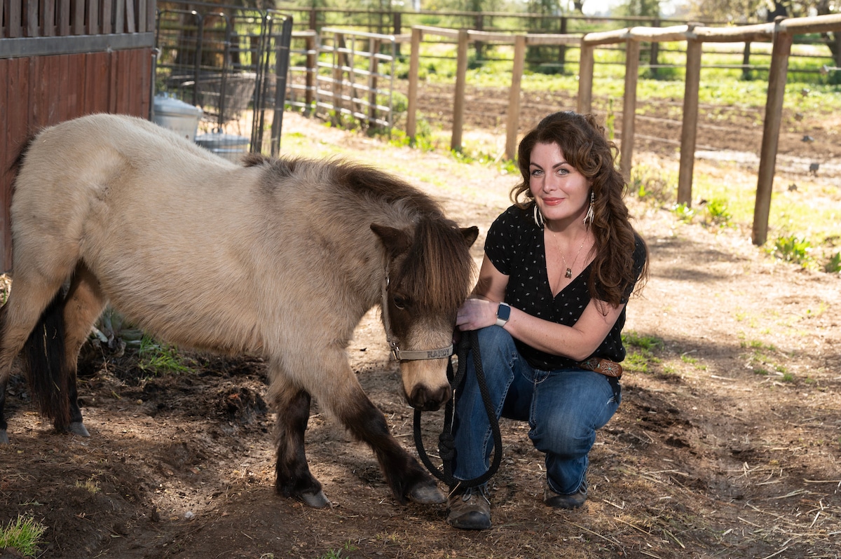 minihorses
