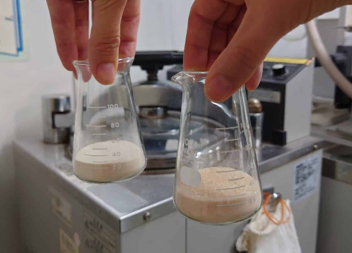 soy protein isolate