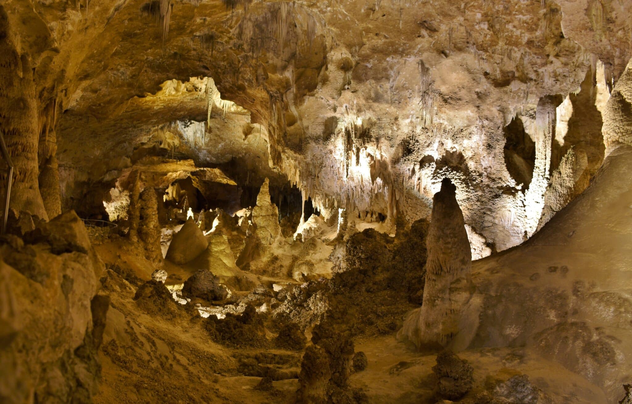 Dropped Cheetos bag drew fungi and insects to Carlsbad Caverns