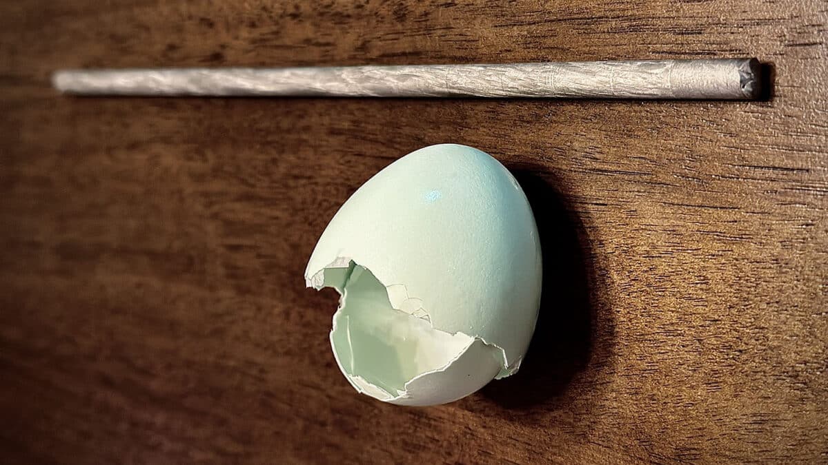 Gwalani eggshell