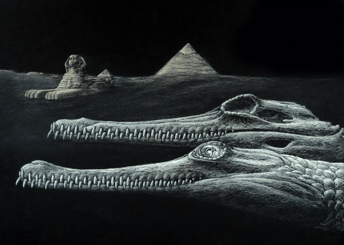 Herugavialis_cairensis