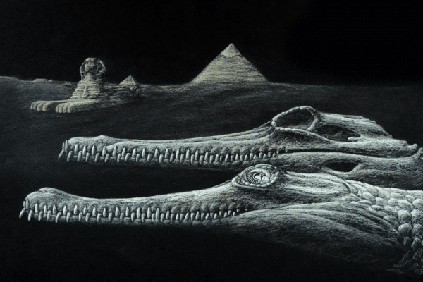 ancient croc