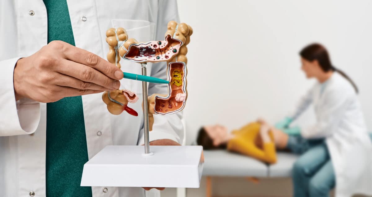 Intestines model