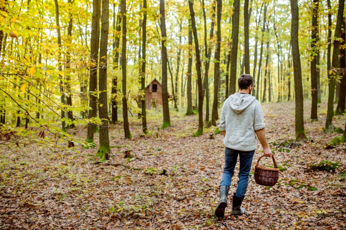 Man foraging in the forest