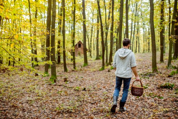 Man foraging in the forest