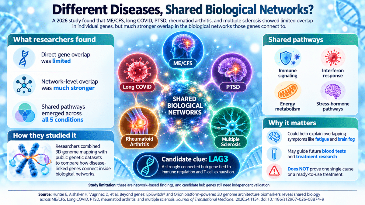 Shared Biological Networks Across Diseases