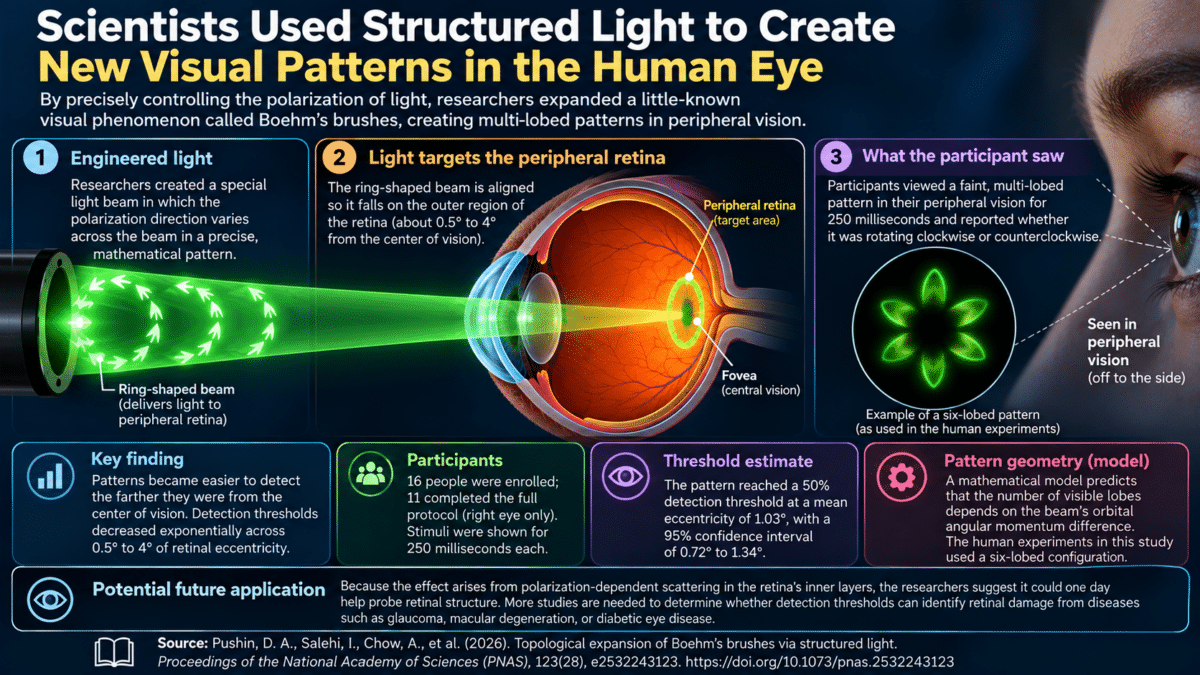 Structured Light Reveals New Visual Patterns