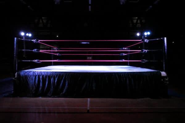 Professional wrestling ring