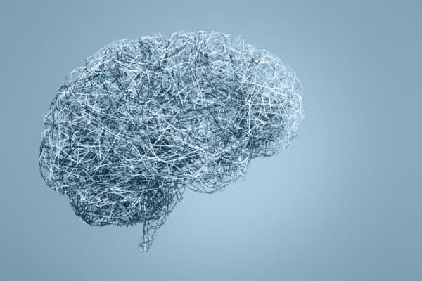 brain wiring