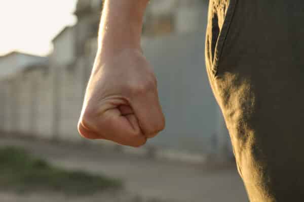 fist