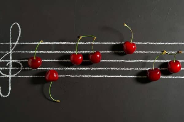 music food taste