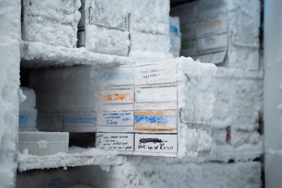 freezer
