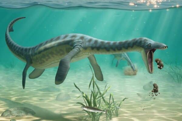 Artist's impression of plesiosaurs feeding on the sea floor [AI-assisted image]