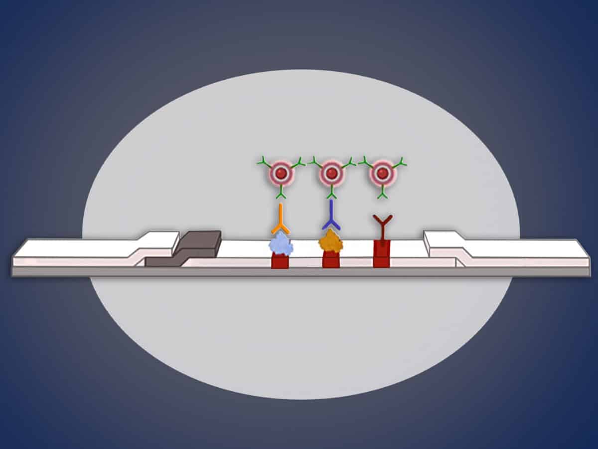 rapid-syphilis-test-nanoparticle-header