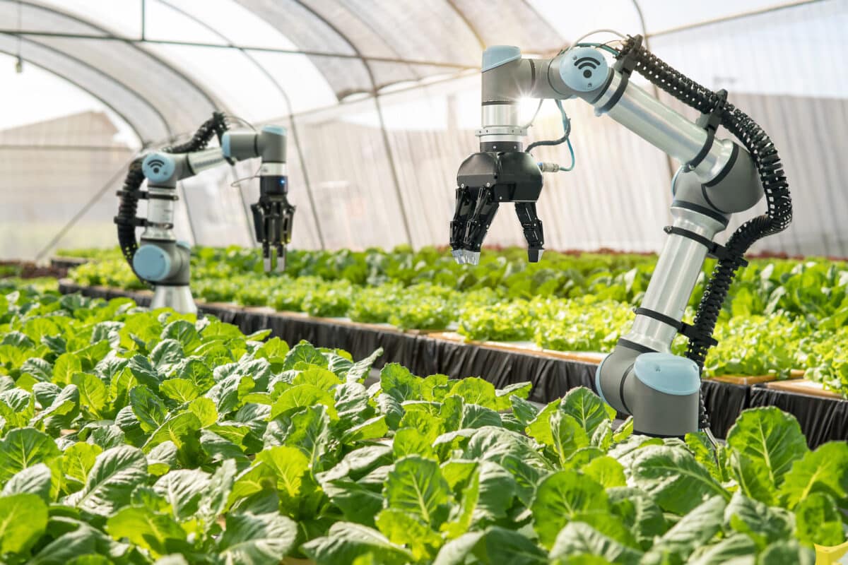 Smart farming agricultural technology Robotic arm harvesting hyd
